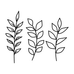 branch with leafs nature ecology isolated icon vector illustration design