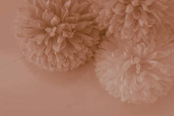 Beautiful abstract color red and brown flowers on white background and light red flower frame and brown leaves texture, yellow background, white banner happy valentine