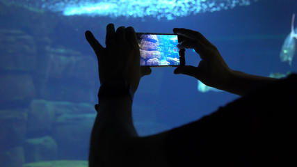 Tourist man taking a photo or making a video of fishes in an aquarium, close up