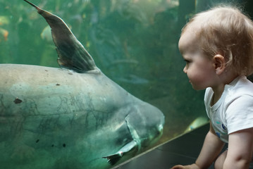Little boy sitting against a green aquarium and looking at big fish, close up