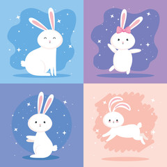 set of cute rabbits icons vector illustration design