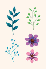 Fototapeta na wymiar set of cute flowers and branches with leafs vector illustration design