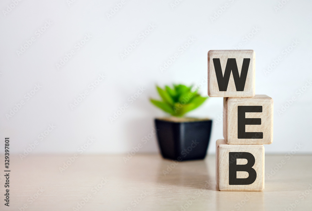 Poster text word web on wooden cubes and flower in a pot in the background