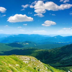 Fototapeta na wymiar Photo of green meadows and hills at summer day in Carpathian mountains