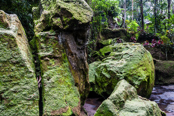 Mossy rocks in the rain forest of Bali, Indonesia