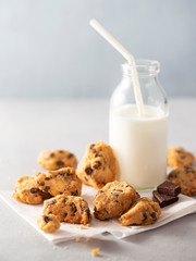 An irregular chocolate chips cookies with bottle of milk on a light background with copy space. Selective focus. Bakery, Dessert concept.