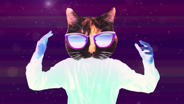 Collage motion desig animation art. Dancing man with cat head. Fashion dance with color collage 3d vibes. GIF motion art. Dancing funny cats.