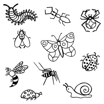 Black and white hand-drawn doodle insects and pests set in doodle style. Vector images for textile, decoration, logo, web.