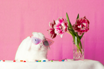 a cute bunny wearing sunglasses on a pink background. Easter
