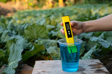 Measure liquid fertilizer in a cup with a digital PH meter neutral display at Lettuce plants...