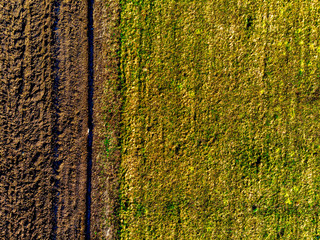 Aerial top view of  cultivated agricultural land and green meadow in sunny spring day