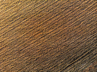 Aerial top view of  cultivated agricultural land in sunny spring day