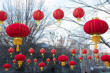 Red Chinese lanterns are hung right on the trees in the winter Park.