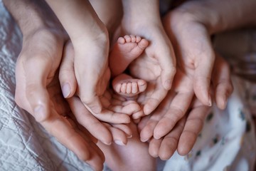 Newborn's feet in mother's, father's and sibling's hands. Concept of love, care and a big family