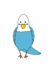 illustration of a Parakeet