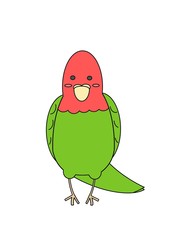 illustration of a Parakeet