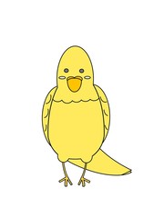 illustration of a Parakeet