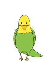 illustration of a Parakeet