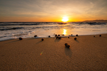 Neptunbälle oder Seegrasbälle an der Playa de Palma, Sonnenuntergang, Mallorca