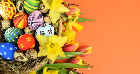 Happy Easter - painted eggs and daffodils on colored background