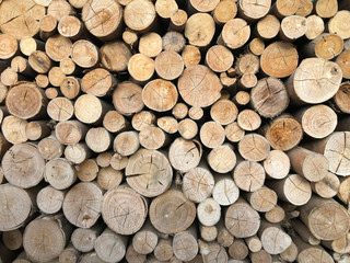 Environment and deforestation forest - felled trees, stacked sawn logs as wooden background