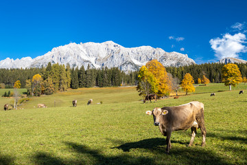 Fototapeta premium autumn view of Dachstein massif in Austria
