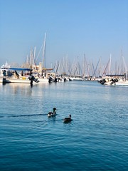 Obraz premium fishing boats in harbour