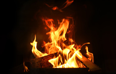 Fireplace with burning wood, closeup view. Winter vacation