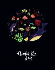 Underwater sea world dwellers, flora and fauna elements. Algae, coral reef, kelp, killer whale, dolphin. Vector cartoon illustration.	