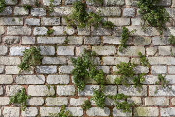 The brickwork is decorated with living plants.