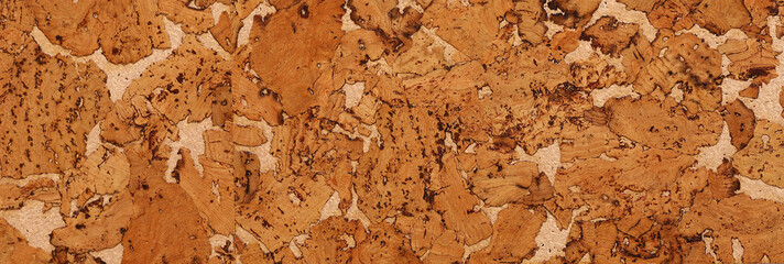 Close Up Background and Texture of Cork Board Wood Surface, Nature Product Industrial. Сork tree.