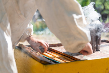 The beekeeper opens the hive to prepare for the new season.
