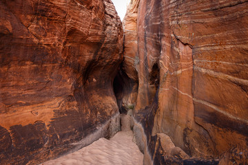 Tunnel Slot during sunny day with blue sky in Escalante National Monument,  Grand Staircase trail, Utah, USA