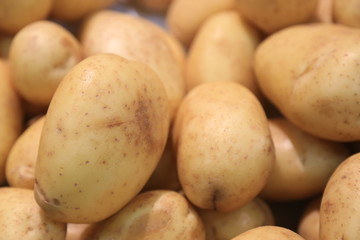 Golden Potatoes 
