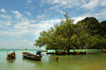 Naklejka na ściany i meble Thailand - Sea and beach in krabi - one of the best place in the world for summer holidays 