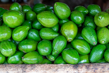 Green avocado stack at grocery on tropical marketplace outdoor,Samana peninsula,Dominican republic.