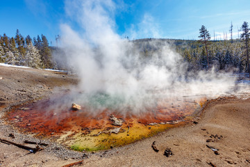 Echinus Geyser at Norris Geyser Basin trail area, during winter in Yellowstone National Park, Wyoming, USA
