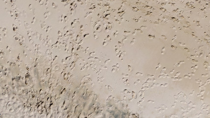 Footprints in Sand on Beach, top view 