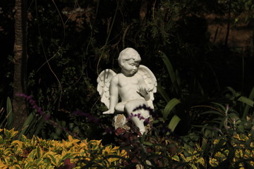 Angel entre plantas