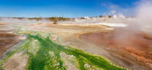 Pinwheel Geyser in Norris Geyser Basin area trail, Yellowstone National Park, Wyoming, USA