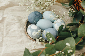 Modern Easter eggs on vintage plate on rustic table with spring flowers and eucalyptus. Stylish pastel blue Easter eggs painted in natural dye from red cabbage. Happy Easter. Rural still life
