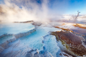 Mammoth Hot Springs with steamy terraces during winter snowy season in Yellowstone National Park,...
