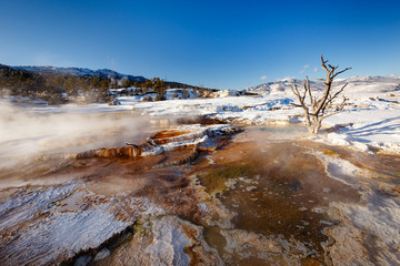Mammoth Hot Springs with steamy terraces during winter snowy season in Yellowstone National Park, Wyoming, USA