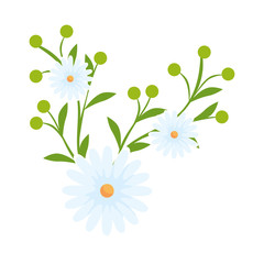 cute flowers with leafs isolated icon vector illustration design