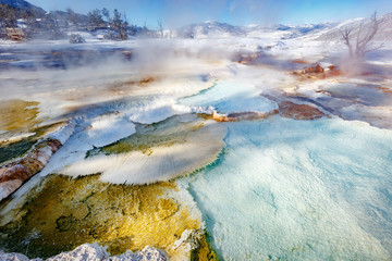 Detail on upper Mammoth Hot Springs with steamy terraces during winter snowy season in Yellowstone National Park, Wyoming, USA - obrazy, fototapety, plakaty
