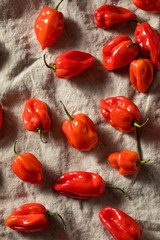 Raw Red Organic Habanero Peppers