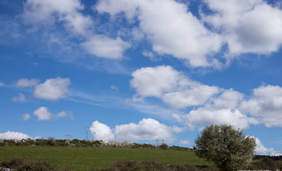 Obraz premium Sicilian countryside