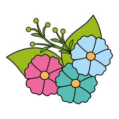 cute flowers with leafs isolated icon vector illustration design
