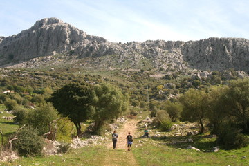 Sierra de Ubrique