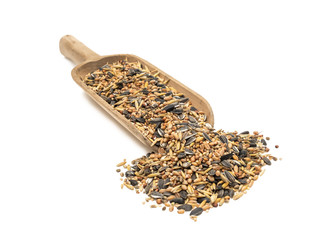 Mixed bird seeds on a large wood scoop seen obliquely from front aand above and isolated on white